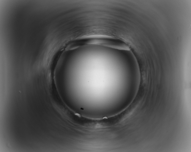 X0000088860254200706151741