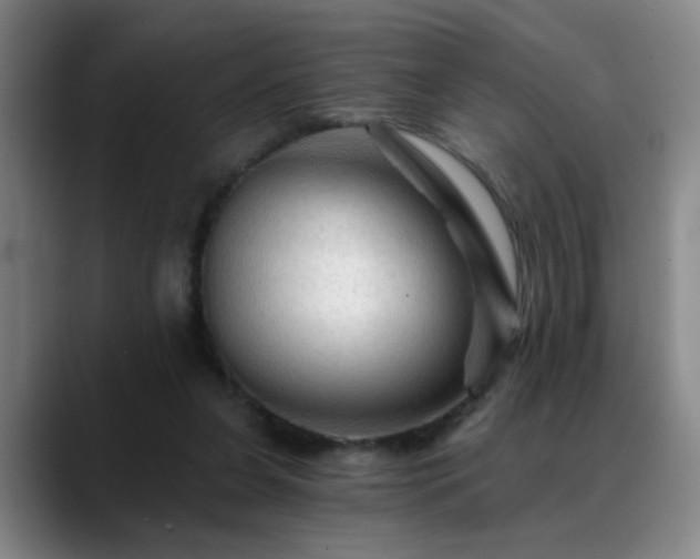 X0000088860255200706151741