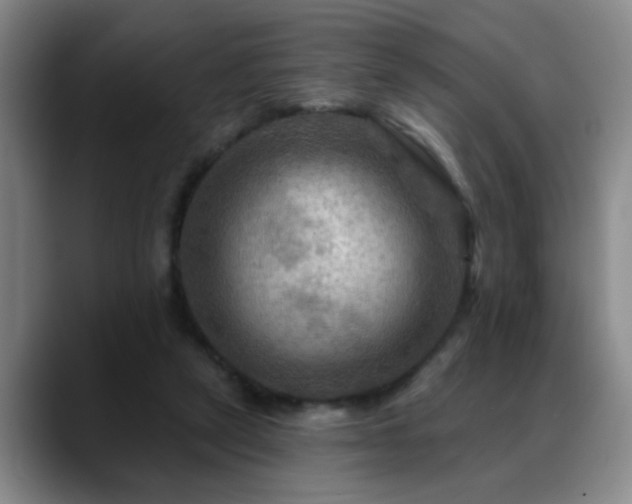 X0000088860257200706151741