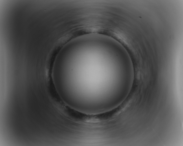 X0000088860258200706151741