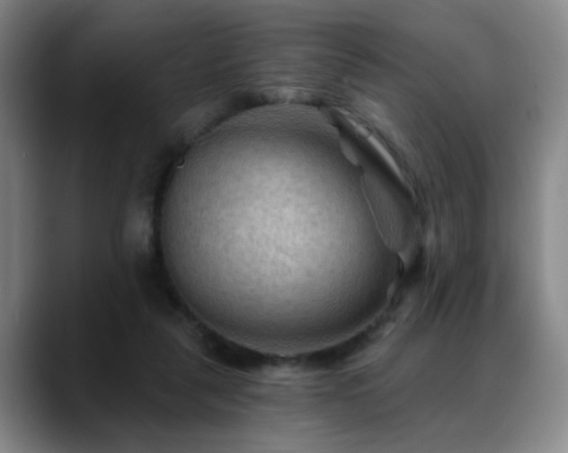 X0000088860259200706151741