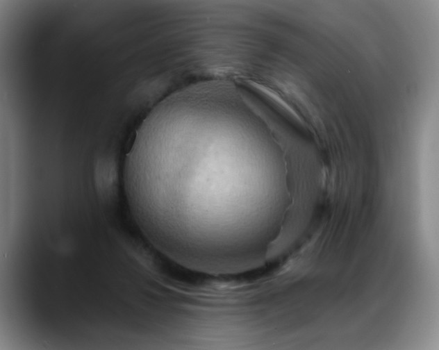 X0000088860260200706151741