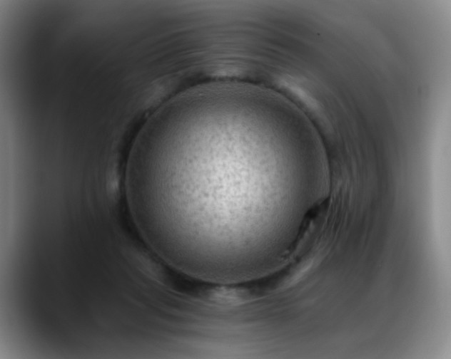 X0000088860261200706151741