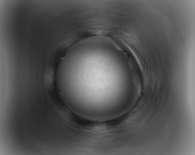 X0000088860263200706151741