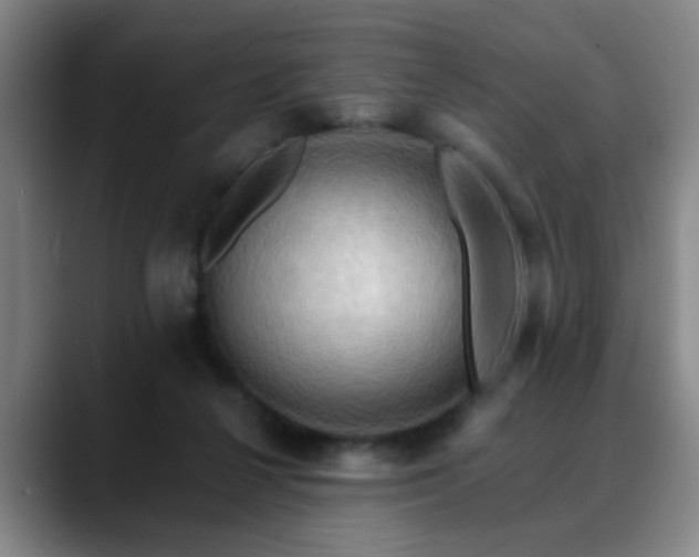 X0000088860264200706151741