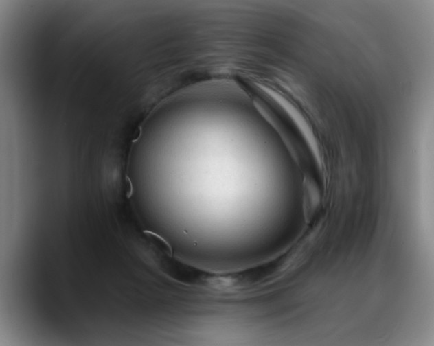 X0000088860265200706151741