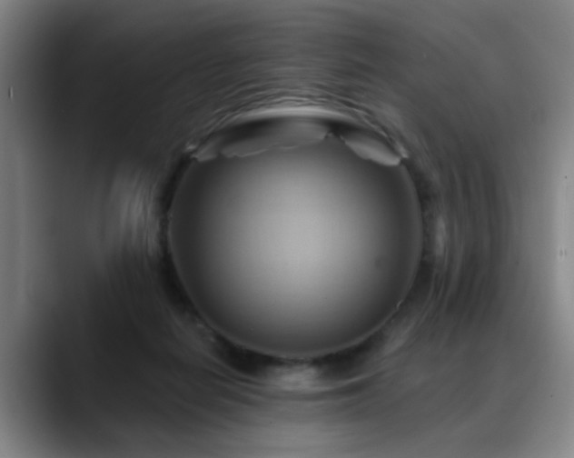 X0000088860266200706151741
