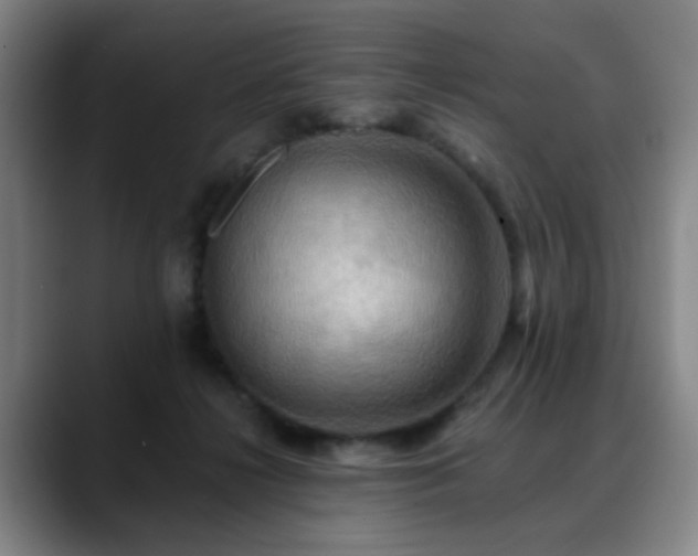 X0000088860268200706151741