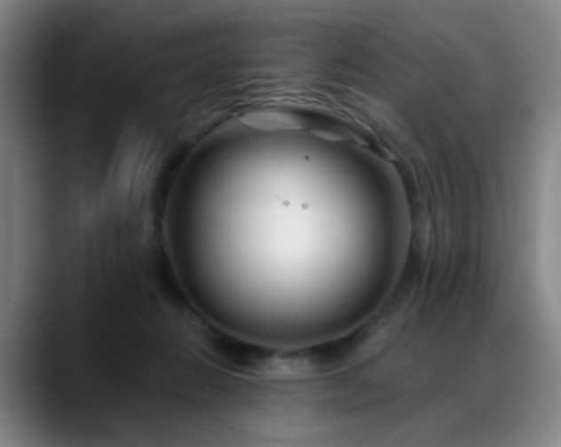 X0000088860270200706151741