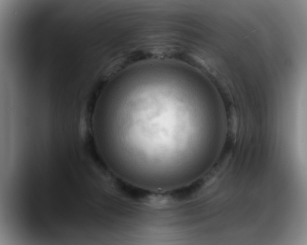 X0000088860272200706151741