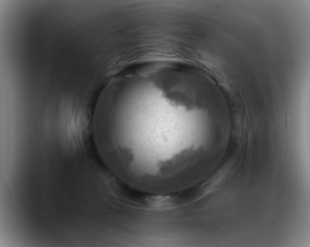 X0000088860273200706151741