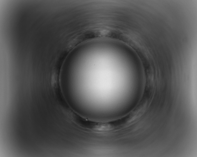 X0000088860274200706151741