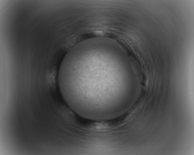 X0000088860275200706151741