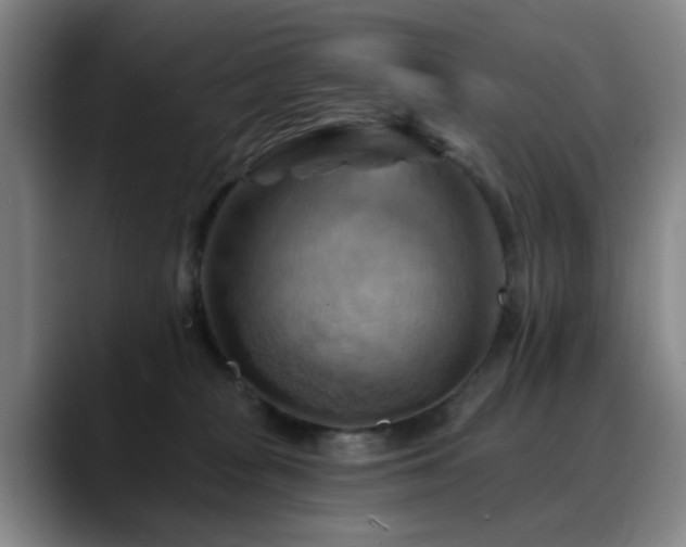 X0000088860277200706151741