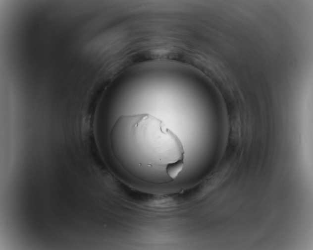 X0000088860278200706151741