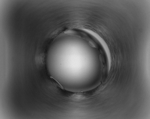 X0000088860280200706151741