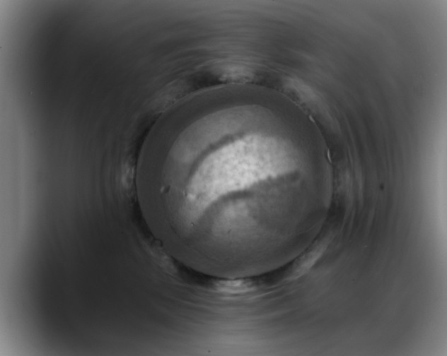 X0000088860281200706151741