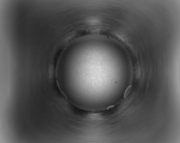 X0000088860283200706151741