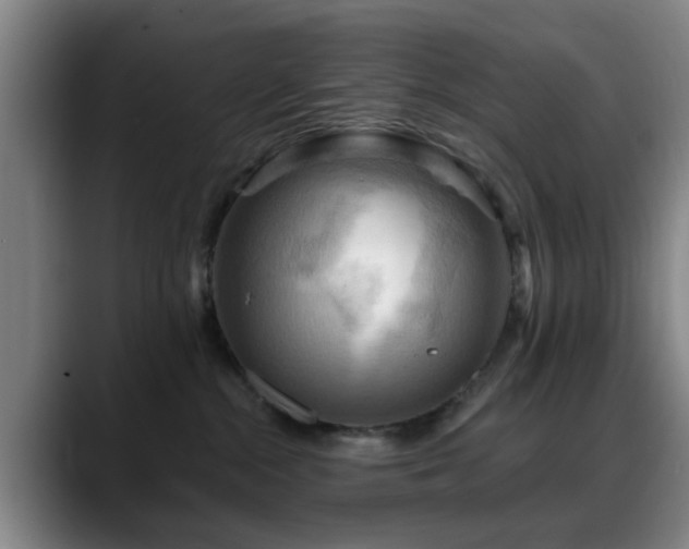 X0000088860284200706151741