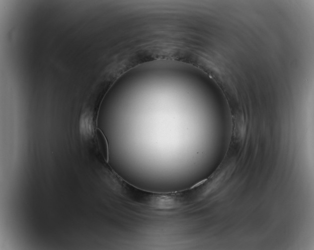 X0000088860287200706151741