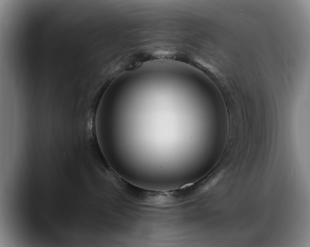 X0000088860288200706151741