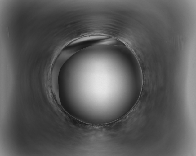 X0000088860289200706151740