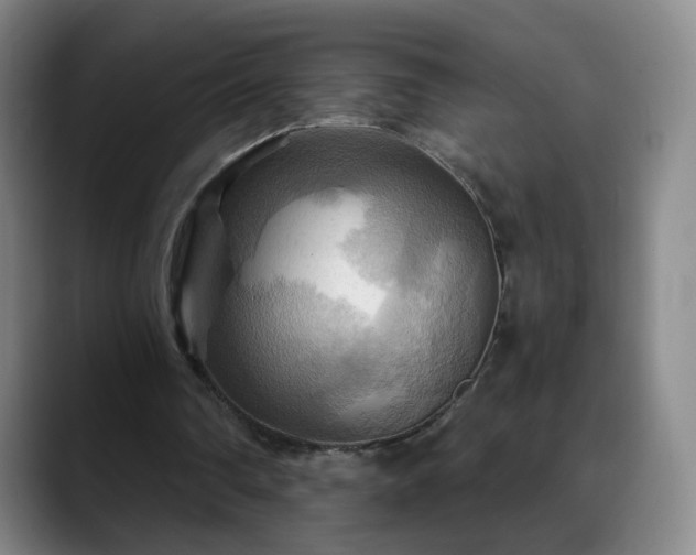 X0000088860290200706151740
