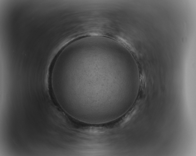 X0000088860292200706151740