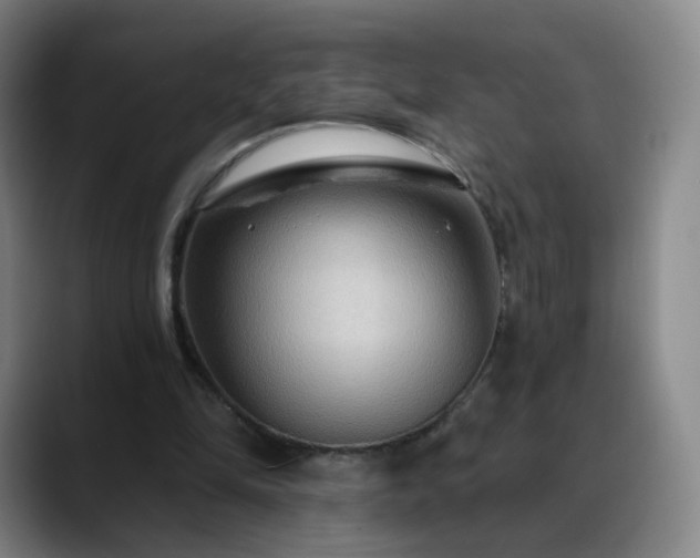 X0000088860294200706151740