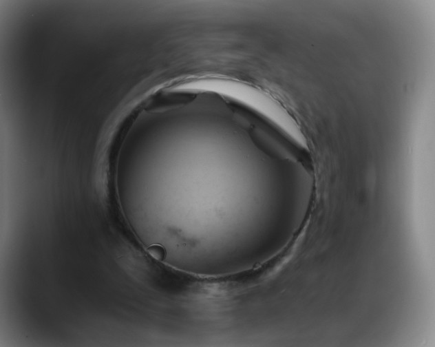 X0000088860295200706151740