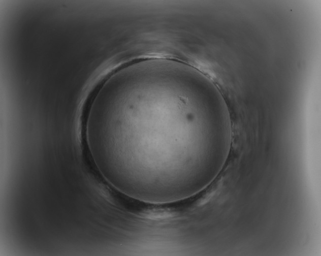 X0000088860296200706151740