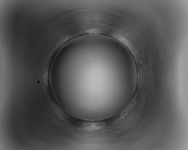 X0000088860297200706151740