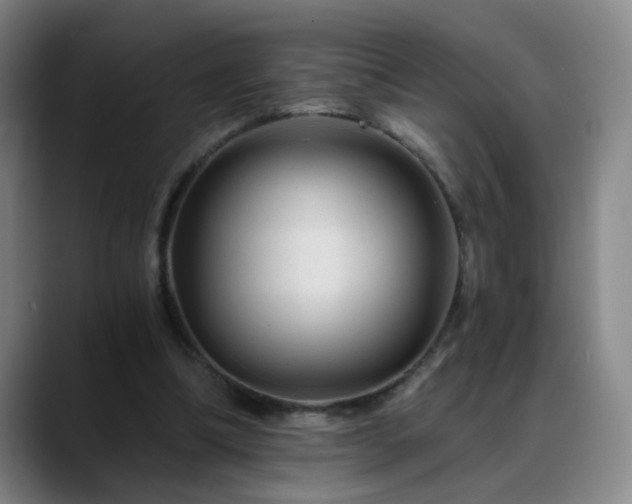 X0000088860298200706151740