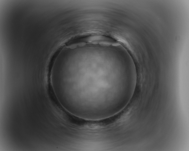 X0000088860299200706151740