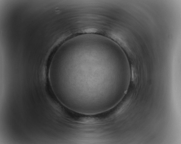 X0000088860300200706151740