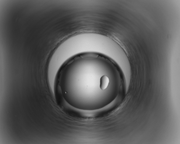 X0000088860301200706151740