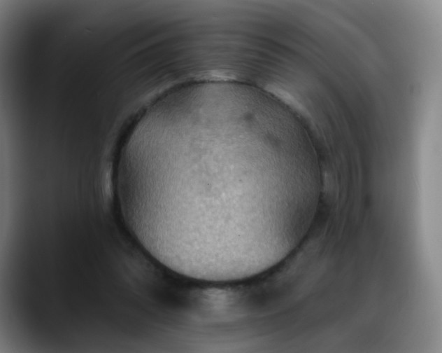 X0000088860302200706151740