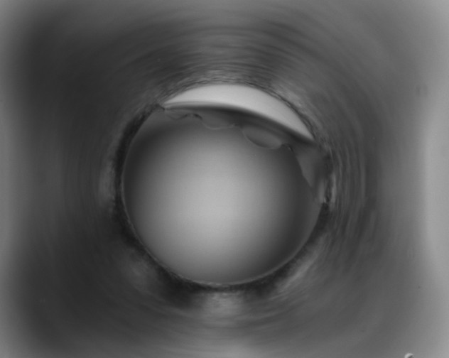 X0000088860303200706151740
