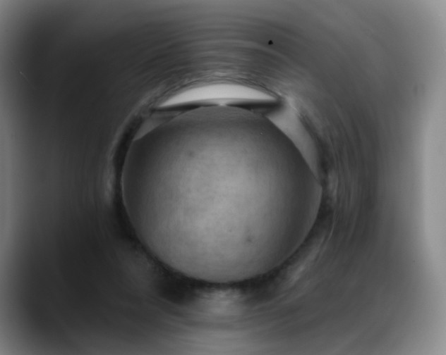 X0000088860304200706151740