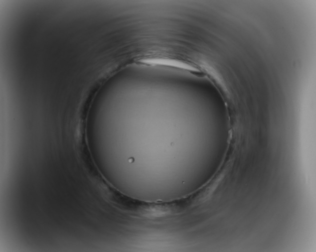 X0000088860305200706151740
