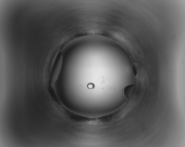 X0000088860306200706151740