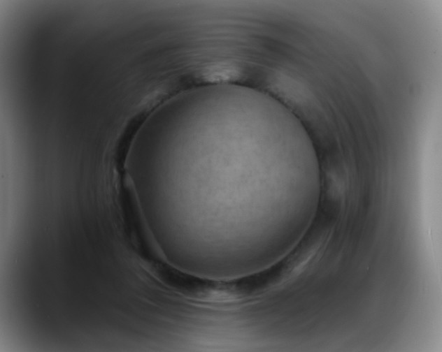 X0000088860308200706151740