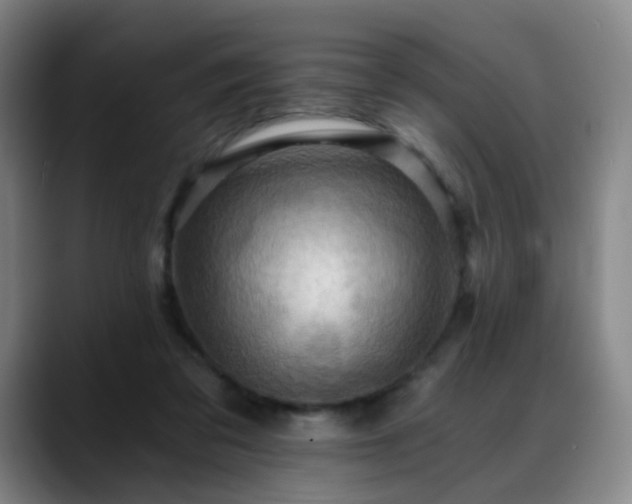X0000088860309200706151740