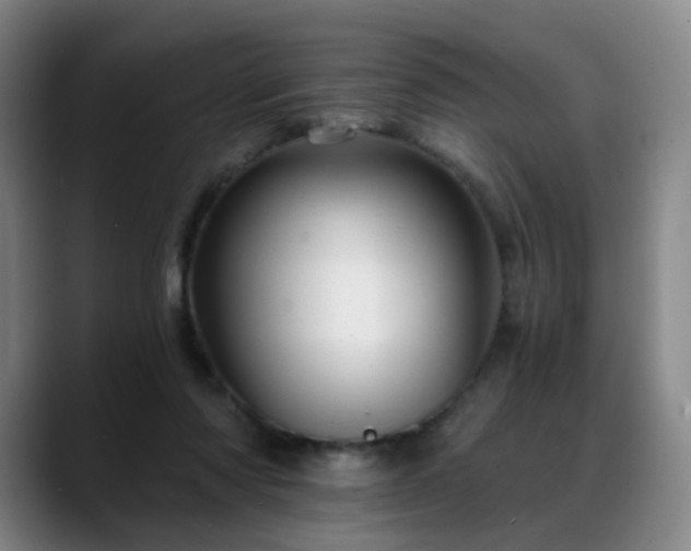 X0000088860310200706151740