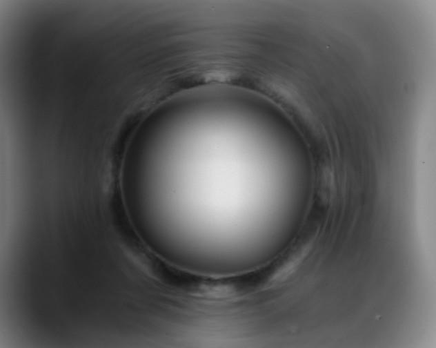 X0000088860311200706151740