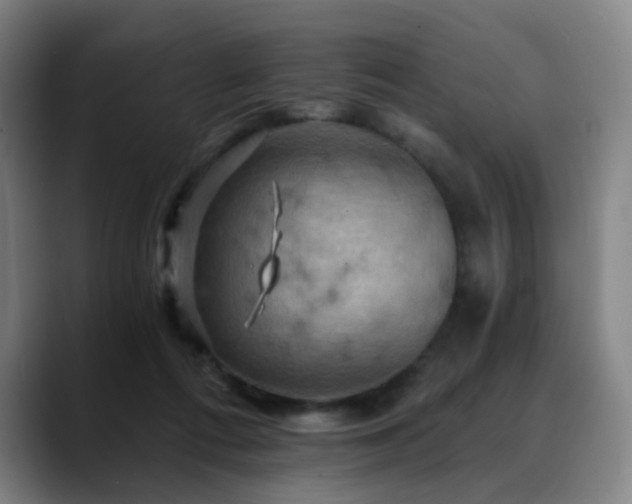 X0000088860312200706151740