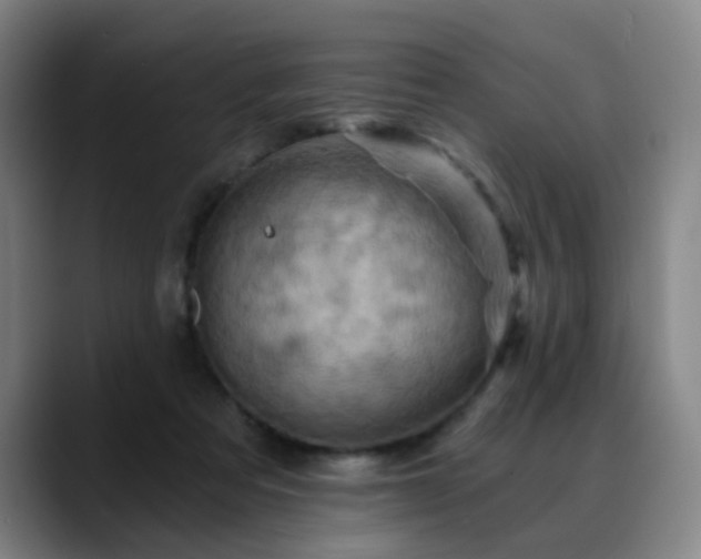X0000088860313200706151740