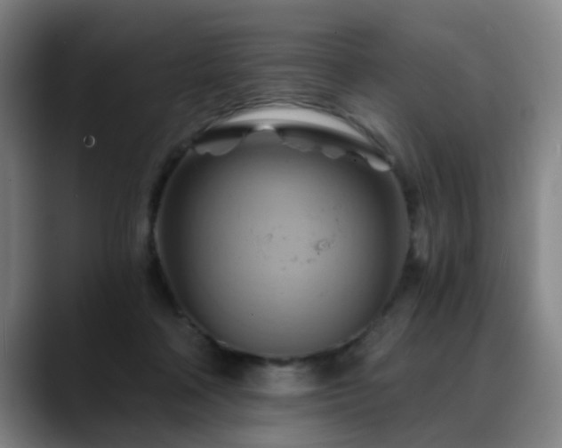 X0000088860314200706151740