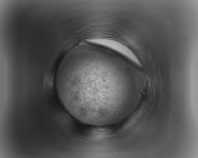 X0000088860315200706151740