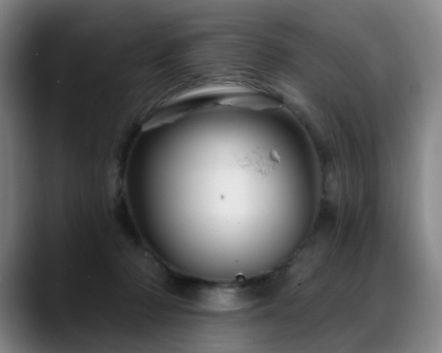 X0000088860318200706151740